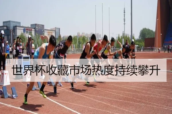 img_1781350546487_260_1_355.jpg