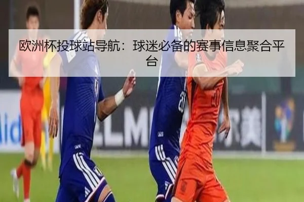 欧洲杯投球站导航：球迷必备的赛事信息聚合平台