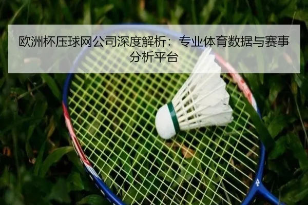 欧洲杯压球网公司深度解析：专业体育数据与赛事分析平台